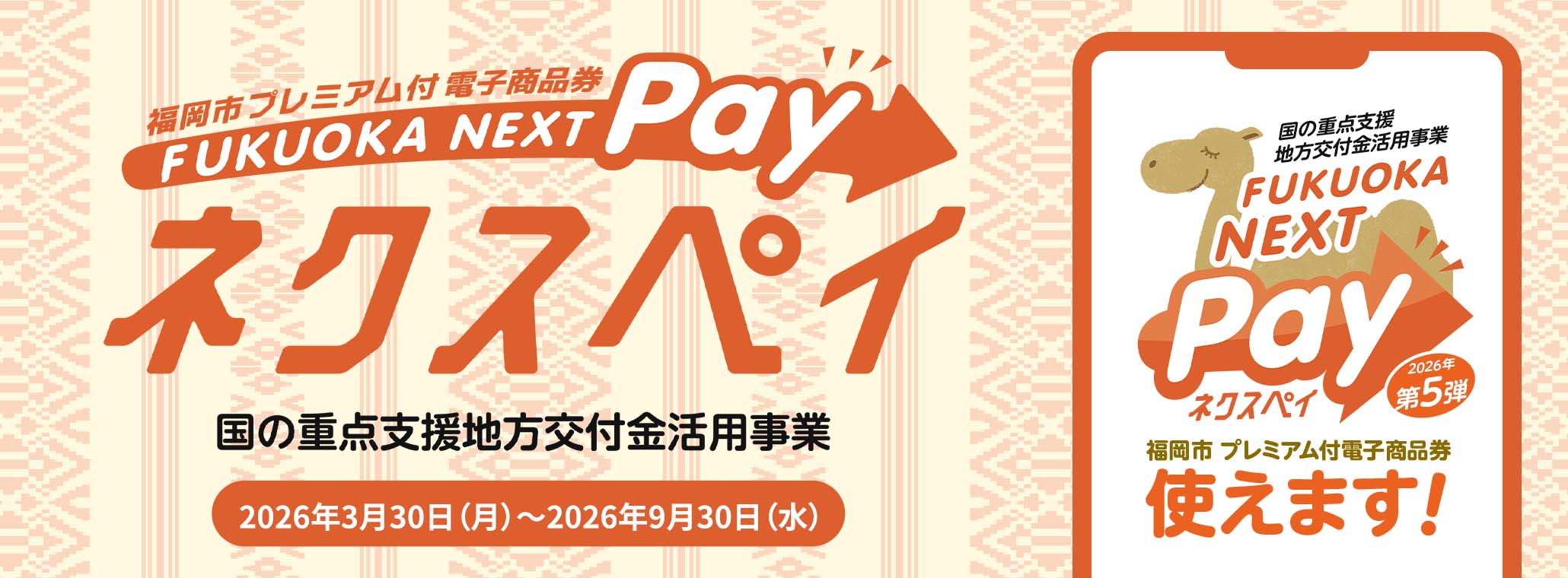 ネクスペイ第5弾